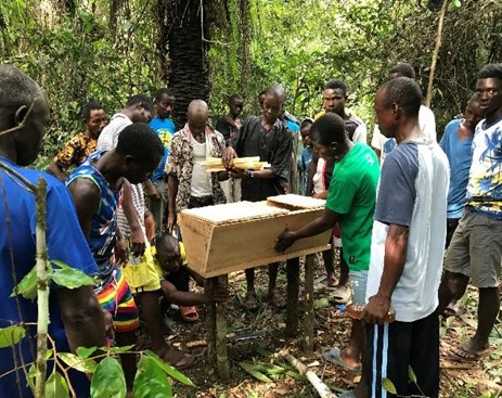 Liberia Conservation