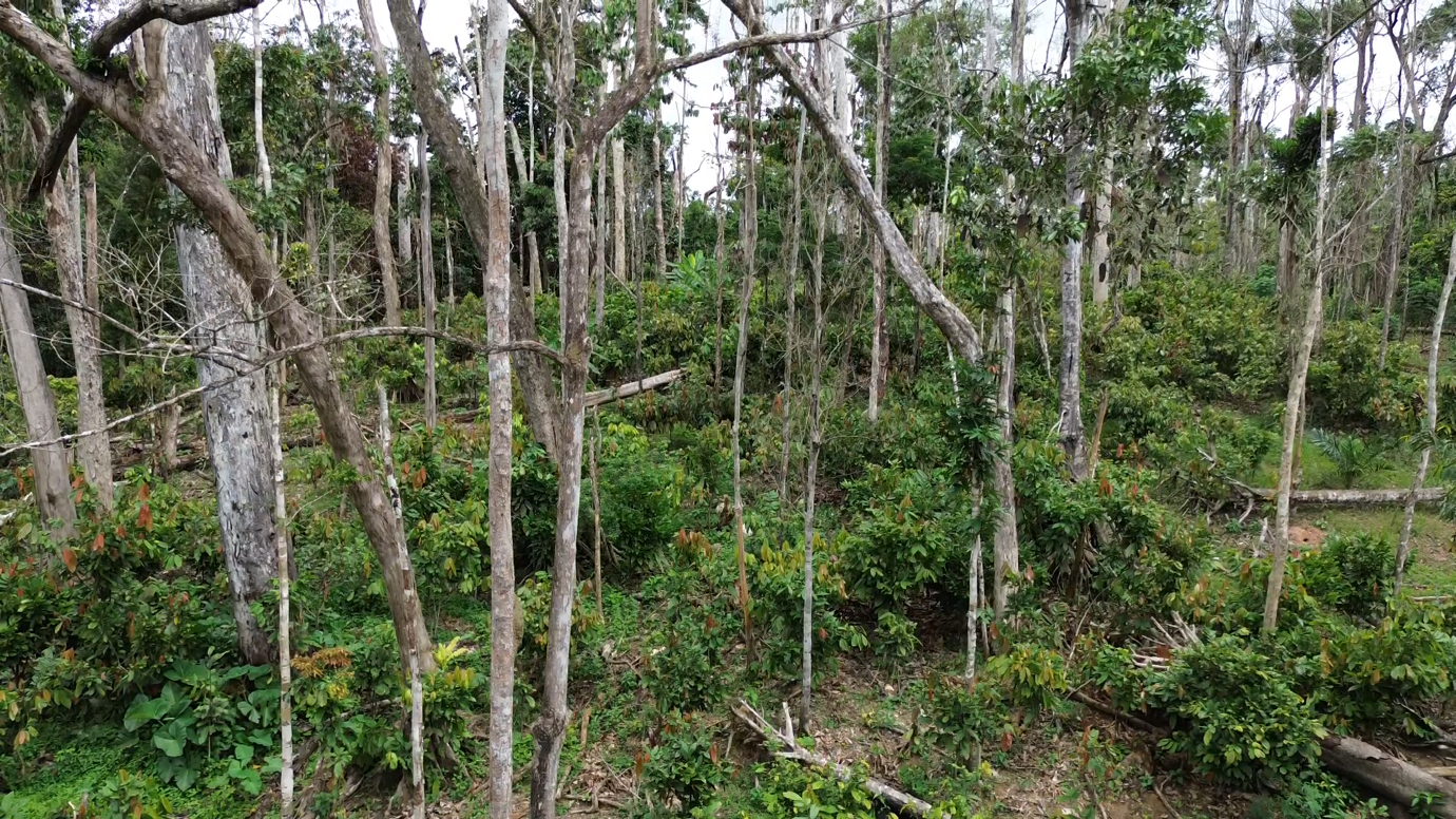 Liberia: Land Authority Charges Towns Nearly US$12K to Resolve Boundary Dispute