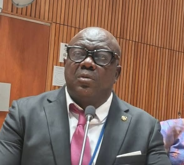 Liberia: President Boakai Suspends Deputy Minister McGill Over Rape Allegation