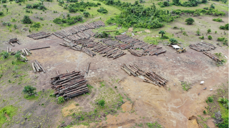 Liberia: Gov’t Ignored Offenses, Now Logging Firm Fades