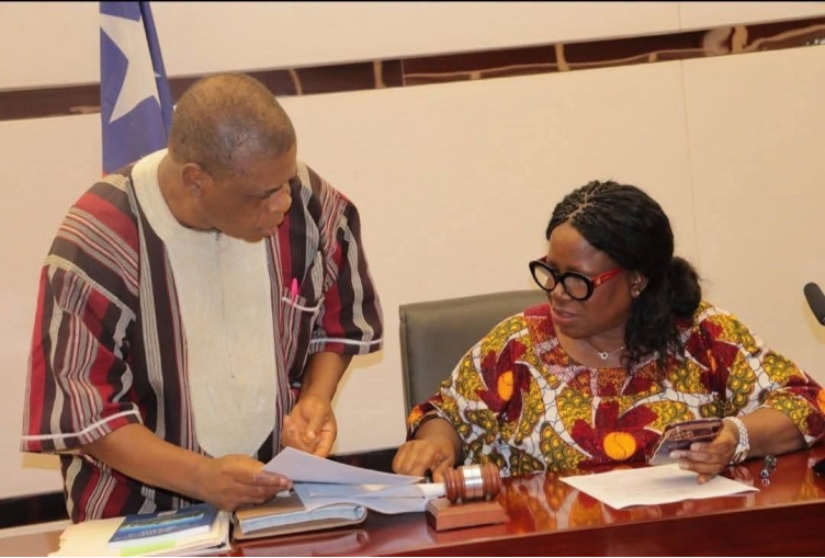 Liberia: Senators Jallah, Karngar-Lawrence Submit Bills for Establishment of War and Economic Crimes Courts to Prosecute Warlords and Corrupt Officials