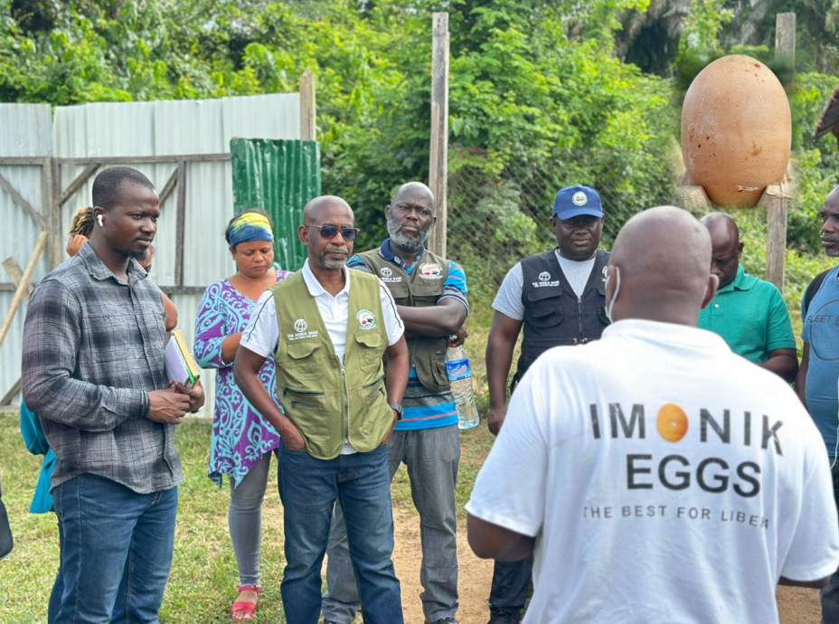 Liberia: RETRAP Transforms Poultry Farming Into a Steady Income Source in Zwedru