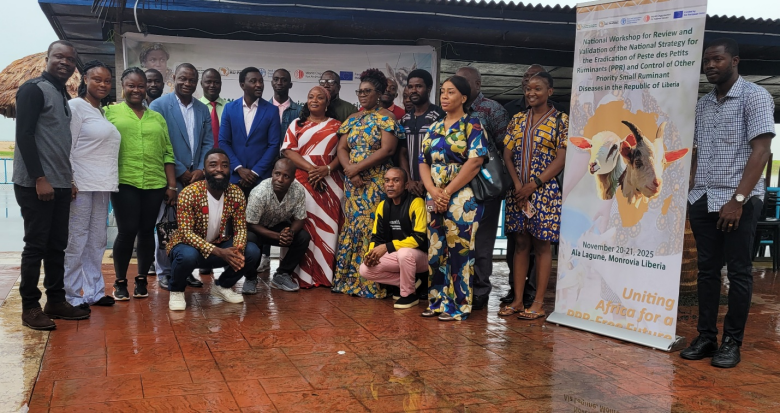 Liberia Validates its National Strategy for PPR Eradication and other animal diseases in Liberia