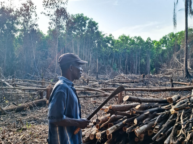 Liberia Looks to New Climate Change Adaptation Fund for Forested NationsBut Experts Warn It Faces Major Challenges Meeting Requirements  