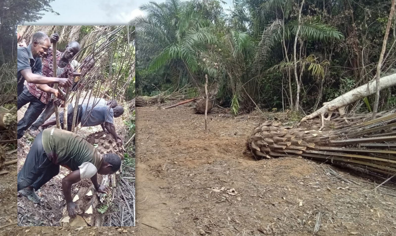 Liberia: Nimba District #9 Cries for Intervention as Citizens Build Roads with Bare Hands