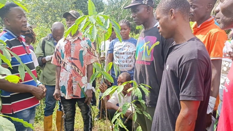 Liberia: RPAL Begins Nationwide Capacity Training for 450 Smallholder Rubber Farmers