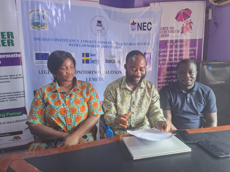 Liberia: LEMCOL Raises Alarm Ove Female Representation, Transparency in Legislature