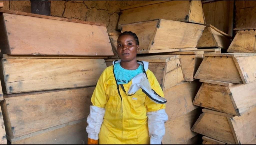 Turning Trees into Treasures: How Women and Communities Are Reviving Liberia’s Forests