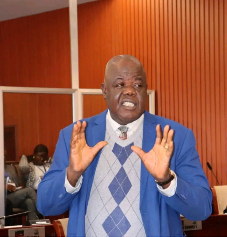 Liberia: Maryland Legislative Caucus Set to Address CDF Matters and Concession Agreements