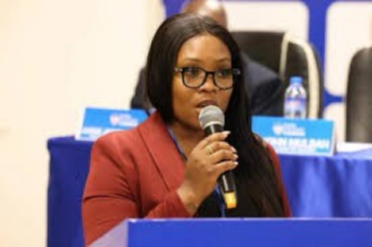 Liberia: MYS Minister Kruah Proposes PPP to Revamp Youth Agriculture Training Center