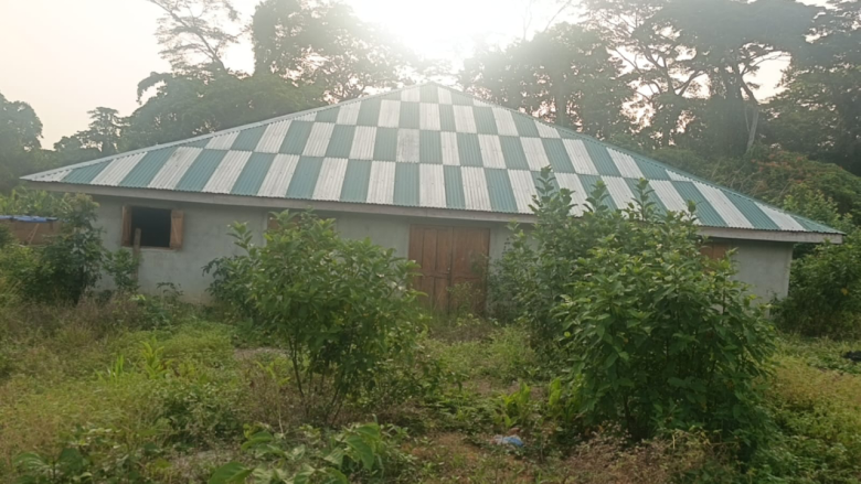 Liberia: Gbarpolu Women Trek Hours as Stalled Clinic Leaves Lives At Risk