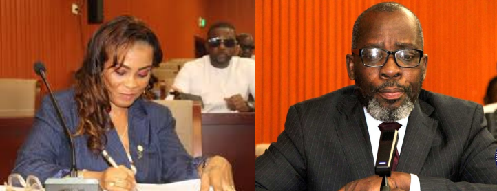 Liberia: House Endorses Bong Mining Probe Report, Passes Paynesville School System Act