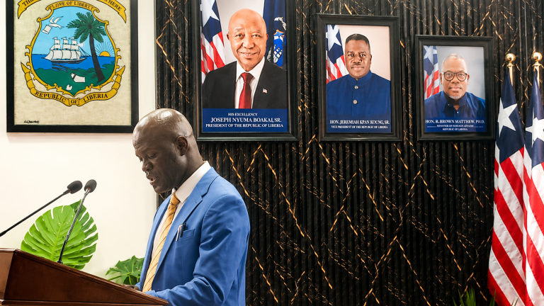 Liberia: EPA Cites Prior Relocation as Key to Preventing Crisis in Bear Mountain Mining Pollution Case