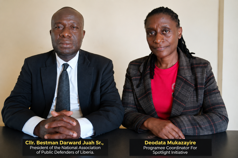 Liberia: Ganta Hosts Three-Day Training for Over 40 Public Defenders On SGBV Cases
