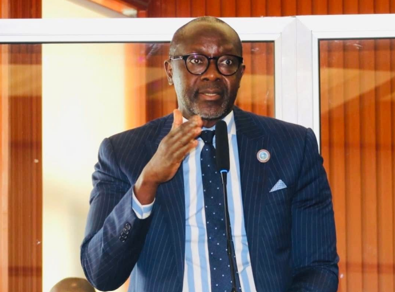 Liberia: Senator Konneh Raises Alarm Over Illicit Mining Across Liberia; Says It Threatens Lives