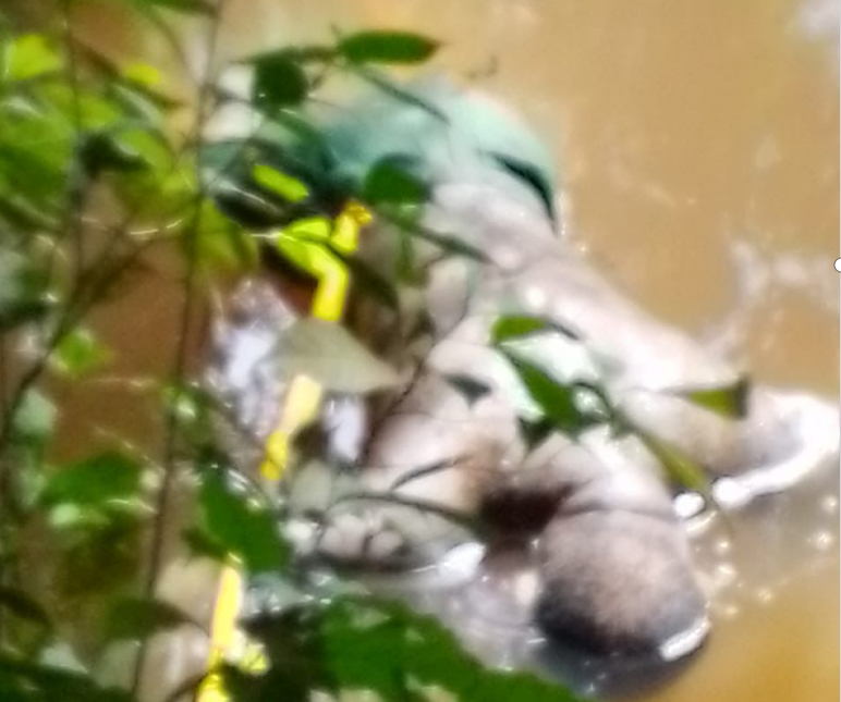 Liberia: Man Found Dead after Going Missing on Farmington River in Margibi