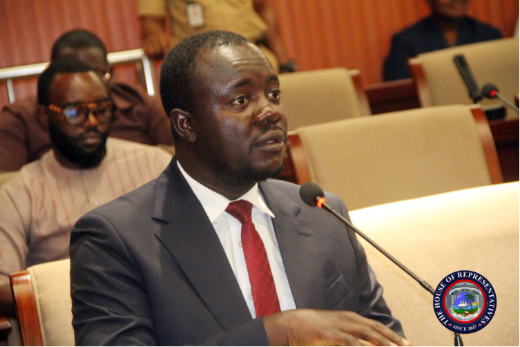 Liberia: Rep. Fahnbulleh Seeks Legislative Reform Through New Institute Bill