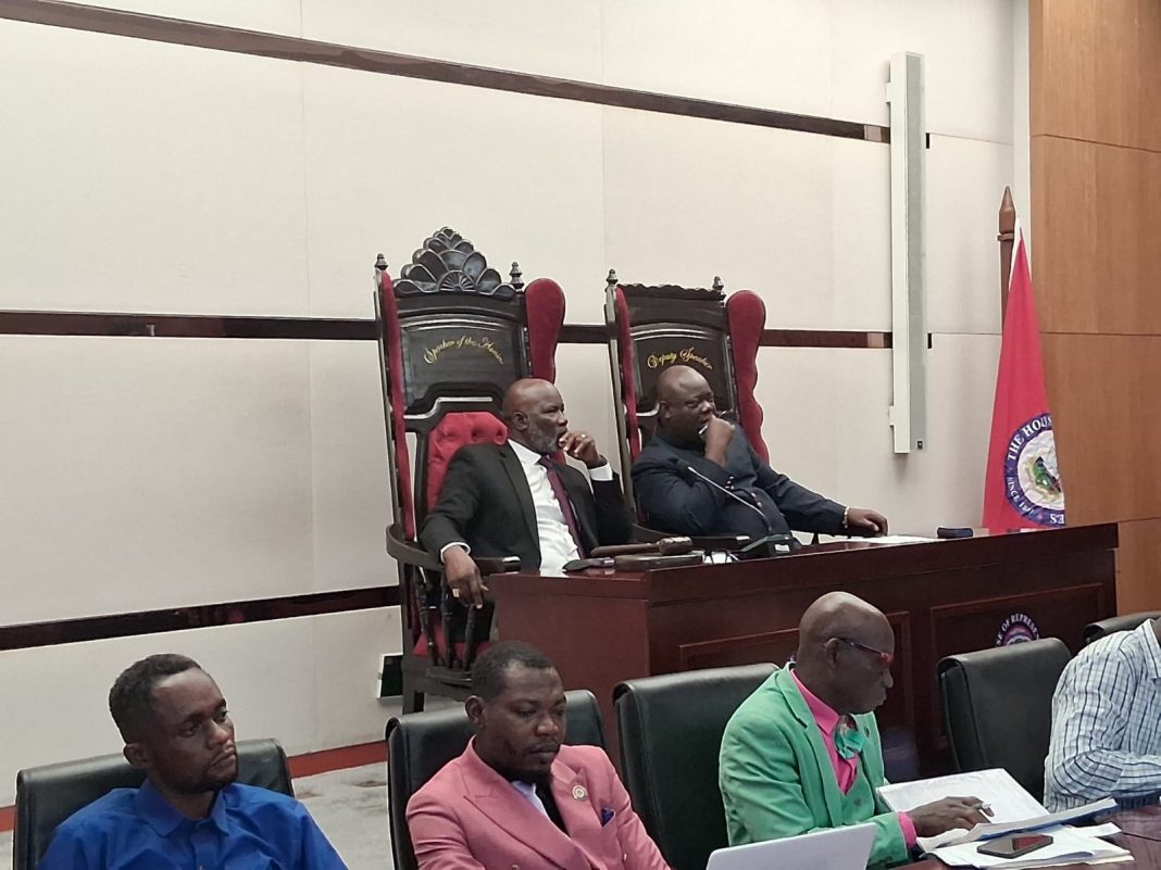 House Passes Resolution to Create 16 Additional Electoral Districts