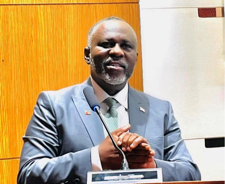 Liberia: SENATOR MCGILL PRESSES EXECUTIVE MANSION TO DISCLOSE FUNDING BEHIND PRESIDENT BOAKAI’S KARPOWER PRIVATE JET FLIGHT TO TURKEY