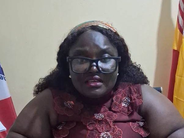 Liberia: LLA Deepens Inquiry into Melekie Property Dispute as Stakeholders Present Ownership Claims