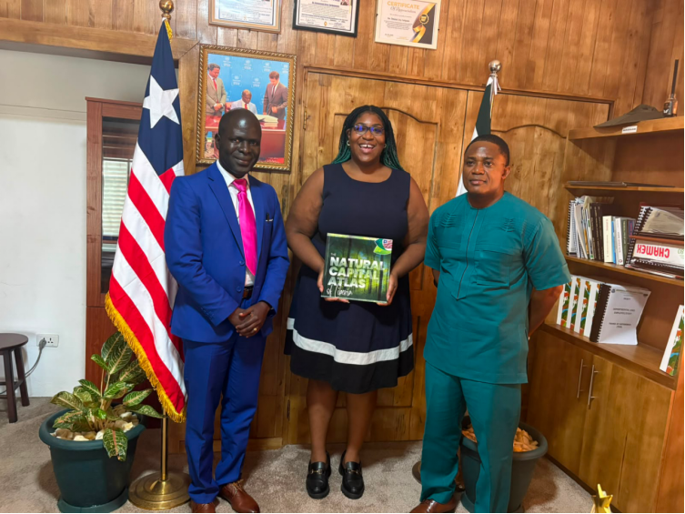 Liberia: U.S. Delegation, EPA Strengthen Partnership to Combat Illegal Mining and Protect Liberia’s Environment