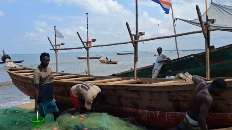 Liberia: Government Cuts to Fishing License Fees Boost Production