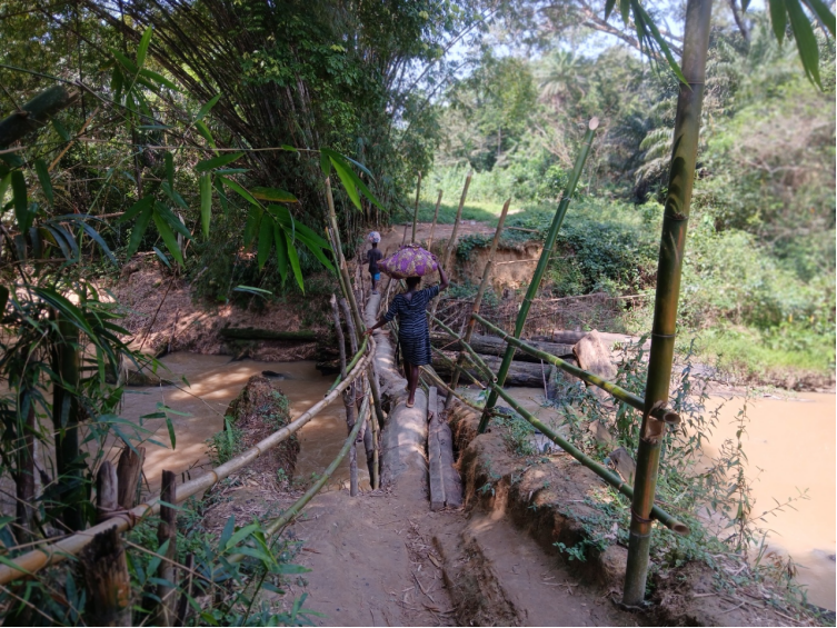 Liberia: Stalled Bridge Leaves River Cess Residents Risking Their Lives on Makeshift Log — One of Dozens of Abandoned Projects Nationwide