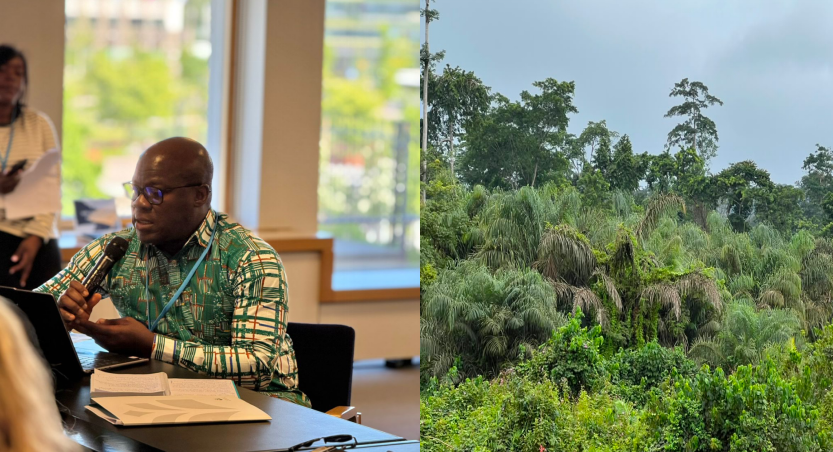 Liberia at a Crossroads: Managing the Growing Burkinabè Population While Protecting Our Environment and Social Stability