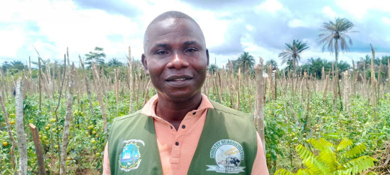 Liberia: Nimba Launches US$400,000 Agriculture Project to End Dependence On Imported Vegetables