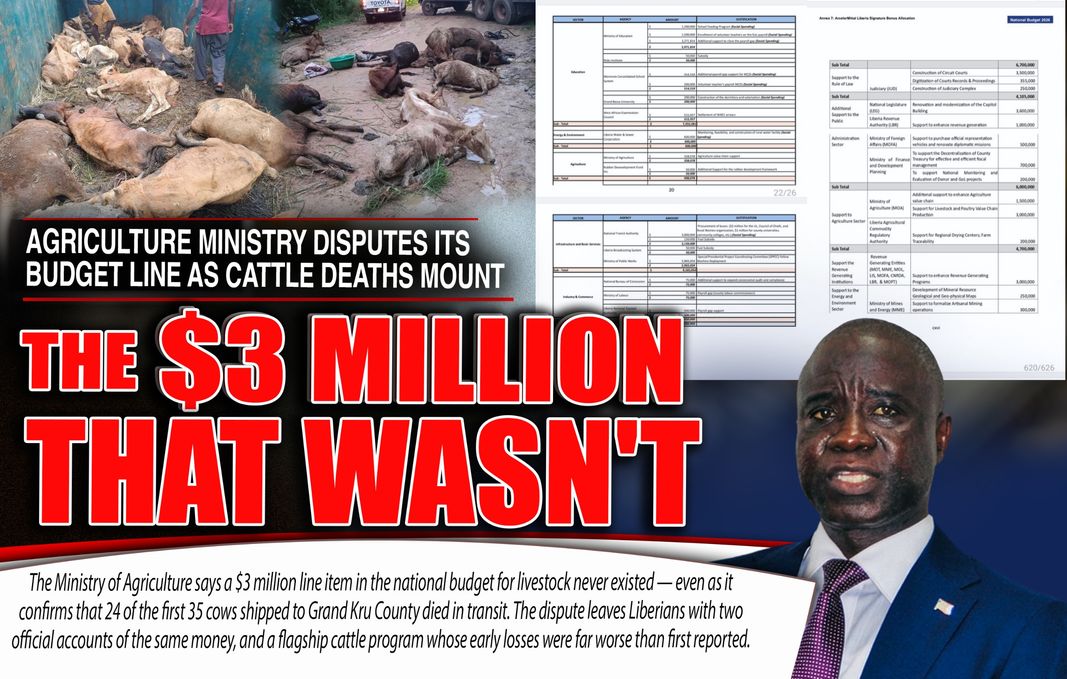 Liberia: Agriculture Ministry Disputes Its Budget Line as Cattle Deaths Mount