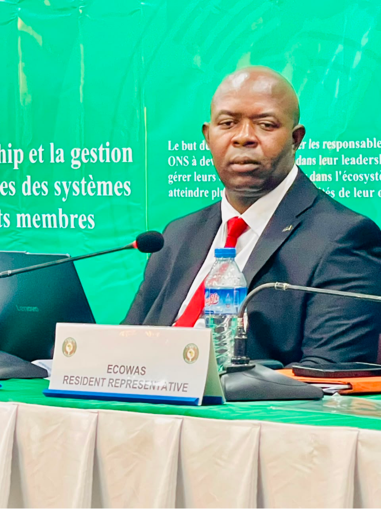 Liberia LISGIS: Cautions on Inadequate AI Use for Data Collection